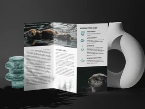 Custom Brochure Printing - Tailored Designs for Your Unique Messaging