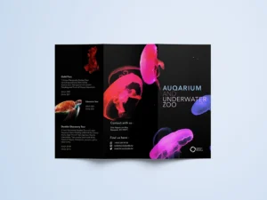 Creative Brochure Designs for Memorable Branding