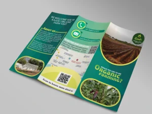Elegant Brochure Designs for a Refined Presentation
