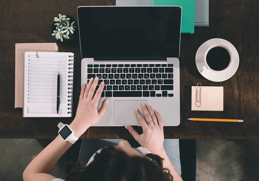 Professional Content Creation Services