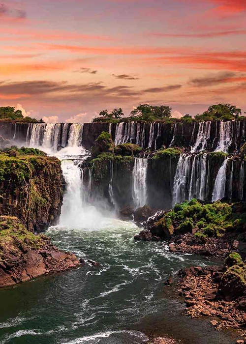 Image depicting a lush green forest with diverse wildlife, symbolizing the importance of environmental and wildlife protection.