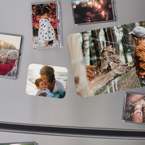 Fridge magnet displayed on a refrigerator surface.