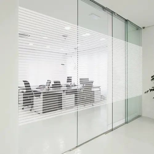 Frosted Glass Film - Timeless Elegance