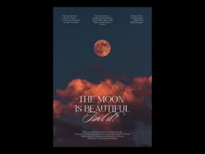 Modern Poster Designs for a Sleek Visual Image
