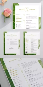 Modern Resume Designs for a Contemporary Job Market