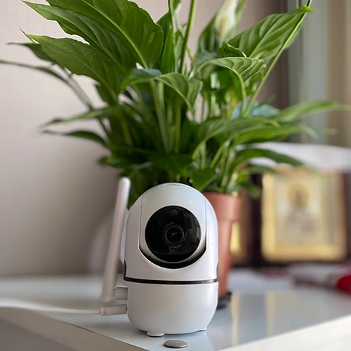 Biometrics and Security Services